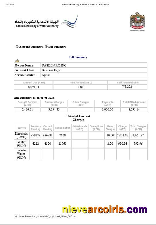 UAE Dubai Federal Electricity & Water Authority electricity, water business utility bill